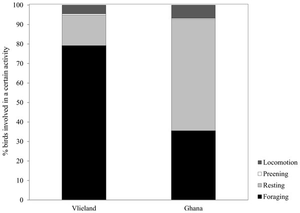 Percentage of time spent by Sanderlings in the Netherlands (Vlieland) and Ghana (Esiama) on the four major behaviours observed.