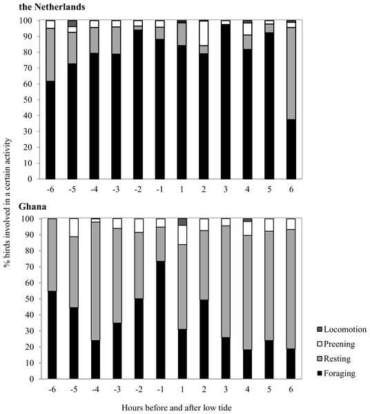 Time budgets of Sanderlings in the Netherlands and Ghana classified per hour before and after low tide.