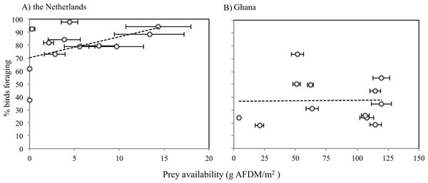 Proportions of Sanderlings foraging at different benthic invertebrate availabilities (g AFDM/m2) in the Netherlands (A) and Ghana (B).