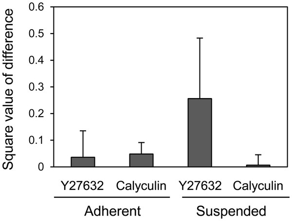 Mechanical response of adherent and BAM-anchored suspended HEK293 cells after treatment with Y27632 and calyculin A.