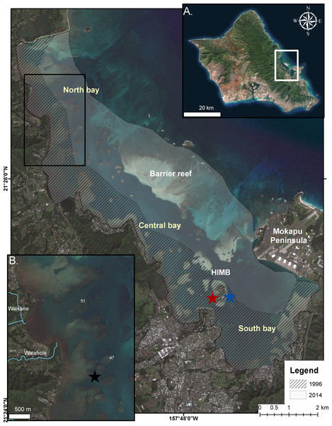 Bleaching events in Kāneʻohe Bay.