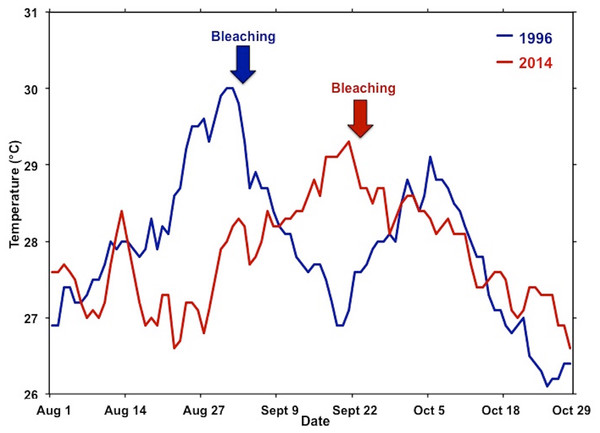 Comparison of temperature during the 1996 and 2014 bleaching events.