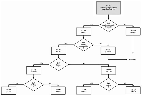 Flow chart showing patient selection according to the exclusion criteria.