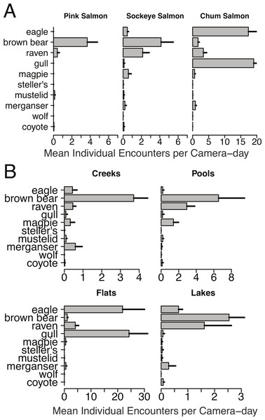 Spawning ground encounter rates grouped by species and stream morphology.