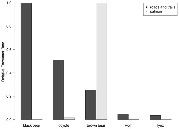 Road and trail encounter rates.