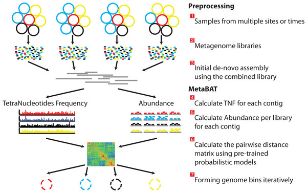 Overview of the MetaBAT pipeline.