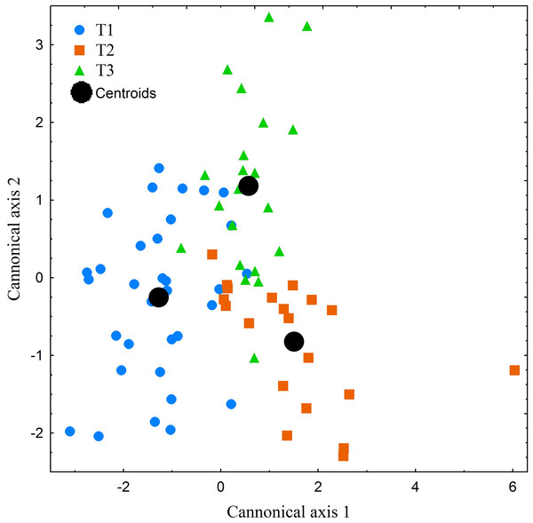 Canonical centroid plots of three Manouria emys specimens (T1–T3), centroid scores for each individual and measurement repetition in food transport phase.