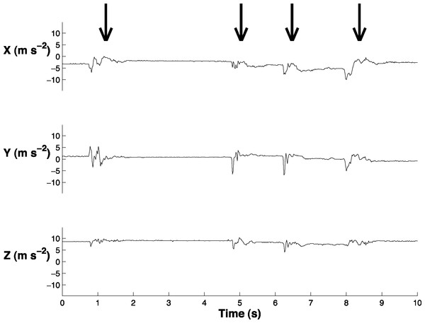 Sample of the accelerometer data in swing (X), sway (Y), and yaw (Z).