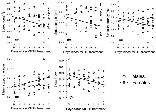 Longitudinal changes in locomotor performance following MPTP administration in male and female mice.