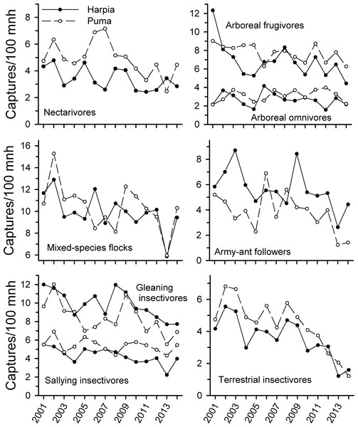 Capture rates of trophic guilds at Tiputini Biodiversity Station, Ecuador.