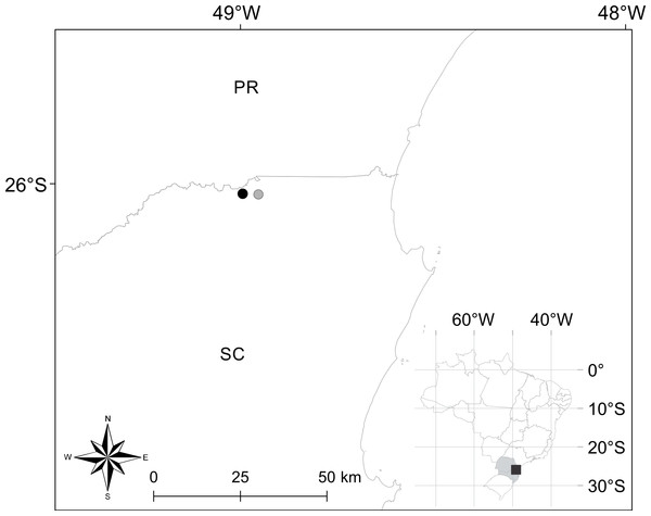 Geographical location of occurrence records of Brachycephalus quiririensis.