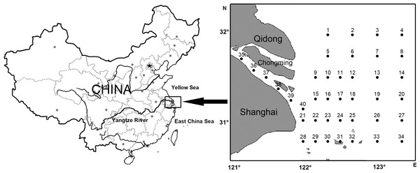 Location of study area and sampling stations of ichthyoplankton in Yangtze Estuary.