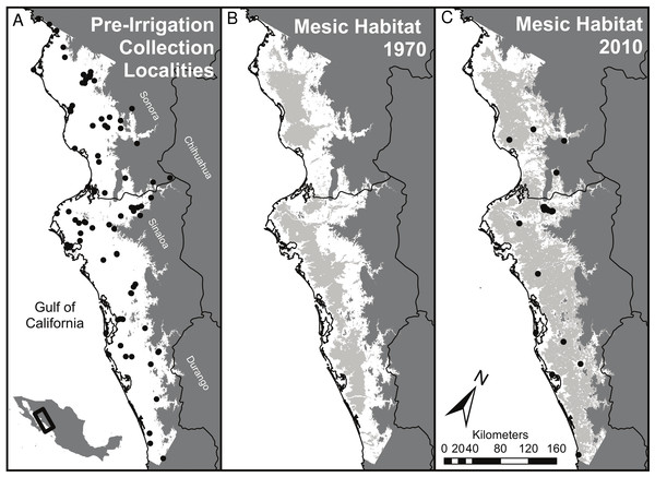 Summary of habitat changes for regions of southern Sonora and northern Sinaloa below 200 m elevation.
