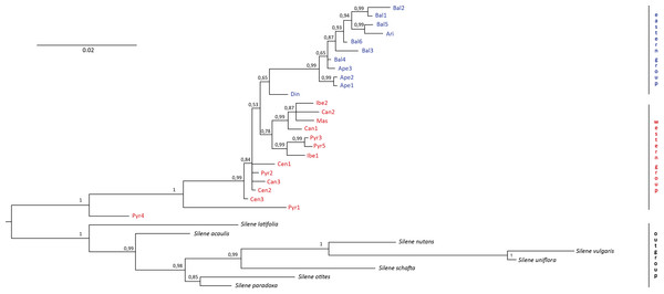 Bayesian dendrogram.