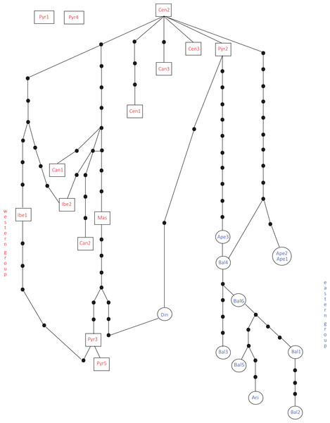 Total cpDNA haplotype network.