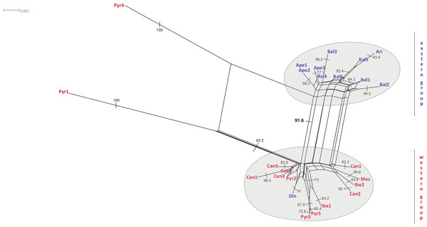 Neighbour-net analyses of the total matrix.