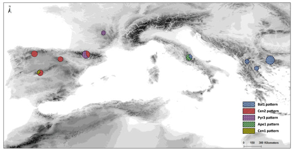 Distribution and frequency ratios of rbcL haplotypes.