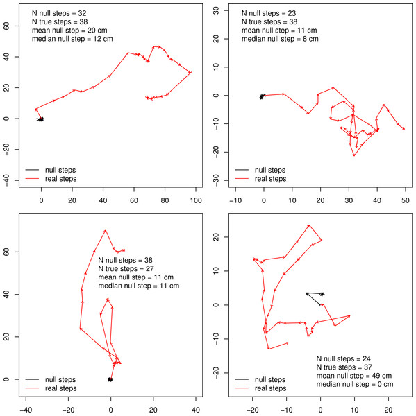 Example butterfly tracks.