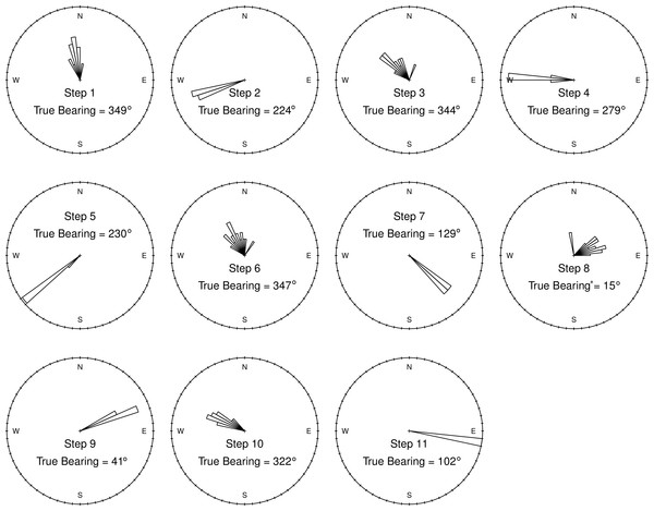 Ground-truth track step-bearing circular histograms.