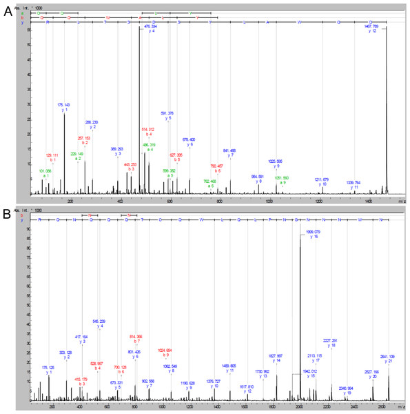 De novo peptide sequencing based on the MALDI-TOF MS/MS fragmentation spectra of EHL in-gel tryptic digestion after reduction with DTE and S-carbamidomethylation with iodocetamide.