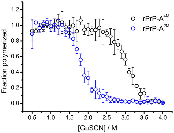 Denaturation profiles of rPrP-A2M and rPrP-A4M fibrils in GuSCN reveal different conformational stabilities.