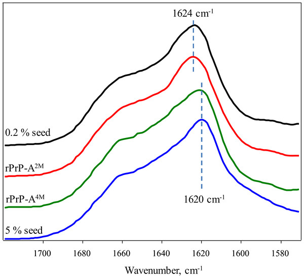 FTIR spectra of rPrP amyloid-like fibrils.