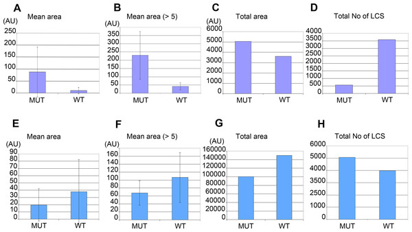 Morphometric analysis of lipid containing structures by CARS microscopy in wild type and W01A8.1 null animals.