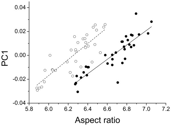 Aspect ratio vs. geometric morphometrics.