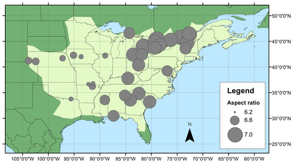 Aspect ratio variation in Calopteryx maculata.