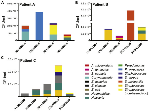 Patient specific profiles were determined from the culturable fraction of each patients’ lung microbiome.