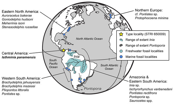 Map of fossil and living Inioidea.