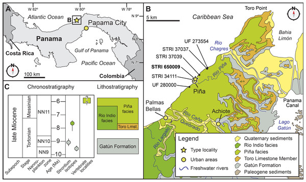 Locality and geology.