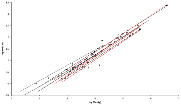 Log BMR as a function of log body mass for running/walking placental mammals.