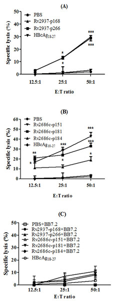 The cytotoxic activity of the CTLs induced by candidate peptides from human PBMCs.