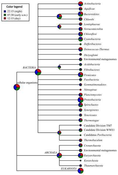 Taxonomic distribution of bacterial and archaeal mRNA transcripts in Zodletone sediment samples.