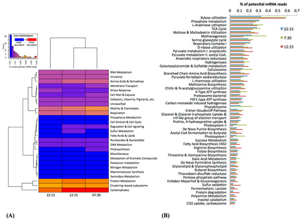 Functional classification and distribution of mRNA transcripts from Zodletone sediment samples.