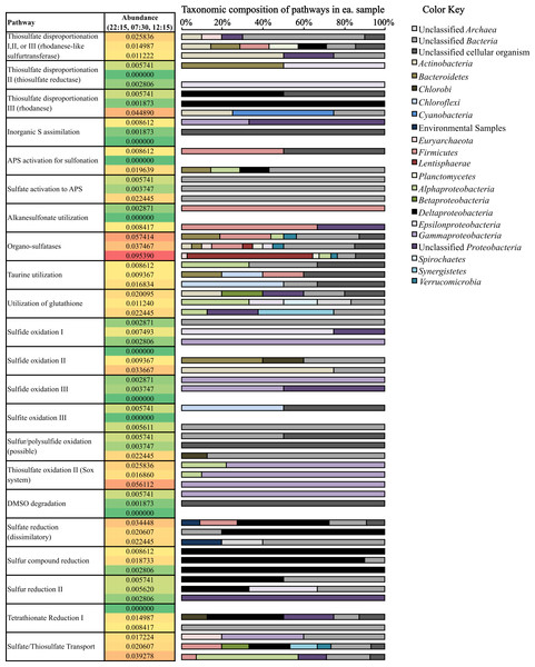 Relative abundance and taxonomic composition of sulfur cycling transcripts.