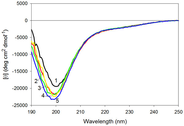 Far-UV CD spectra of wild type (1), W674A (2), W707A (3), W737A (4) and W674A/W707A (5) CaD136.