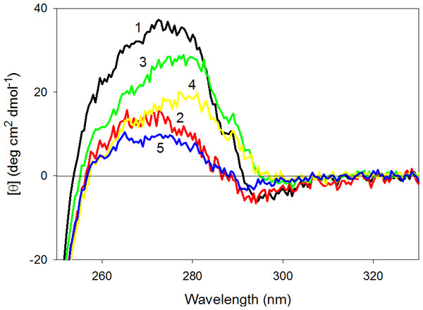 Near-UV CD spectra of wild type (1), W674A (2), W707A (3), W737A (4), and W674A/W707A (5) CaD136.