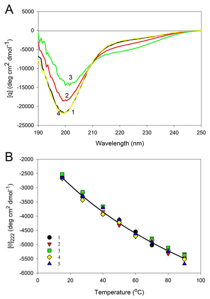 Effect of temperature on far-UV CD spectra of CaD136.