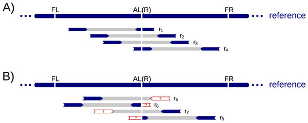 Example read alignment at an Alu insertion site.