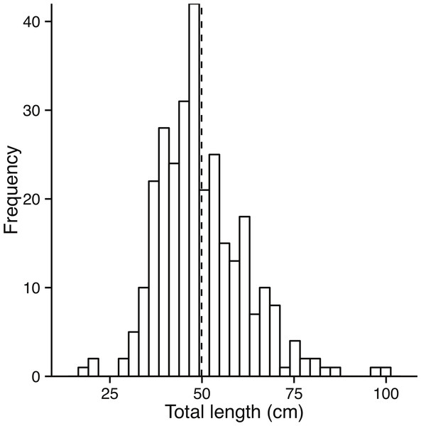 Size class distribution of fish used to assess growth.