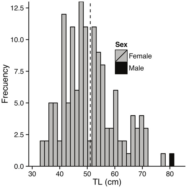 Size composition of bacalao sampled for gonads.