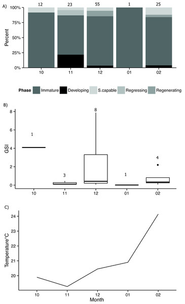 Developmental stages by month.