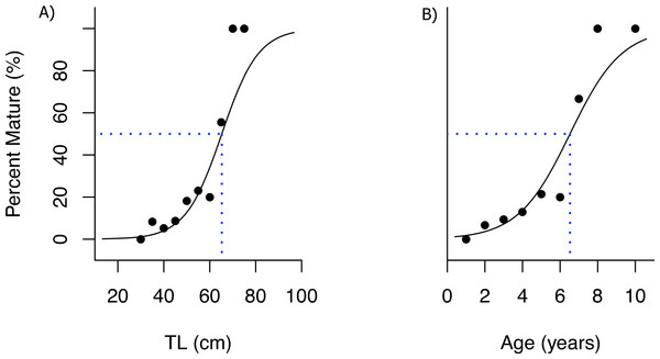 Ogive for size and age of sexual maturity.