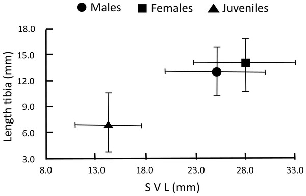 Temporal stability of an endemic Mexican treefrog [PeerJ]