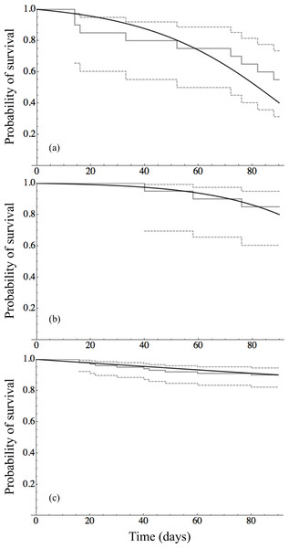 Survival analysis for adult mussels.