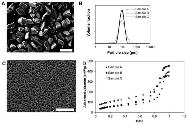 Morphological and physicochemical properties of mesoporous silicon microparticles (MS-MPs).