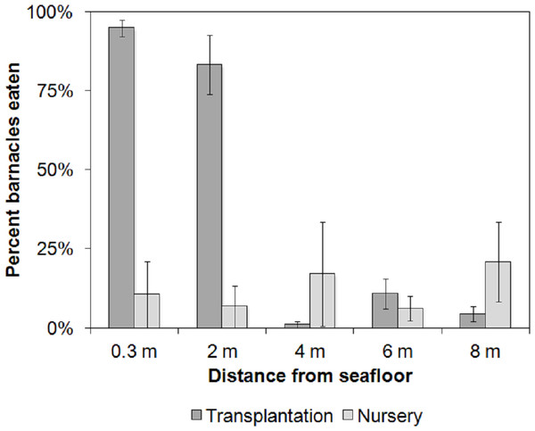 Average barnacle predation.