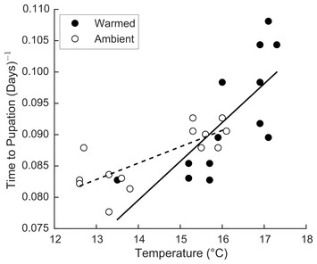 accompanying article image